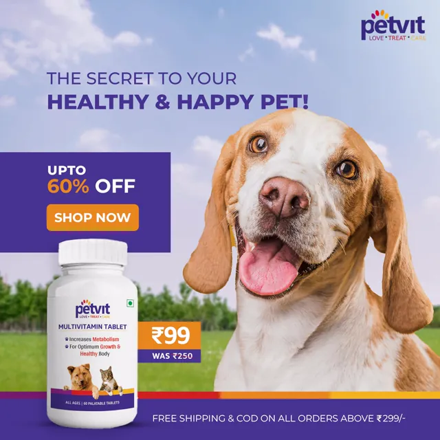 Meta Ad creative by Himanshu Narwaria