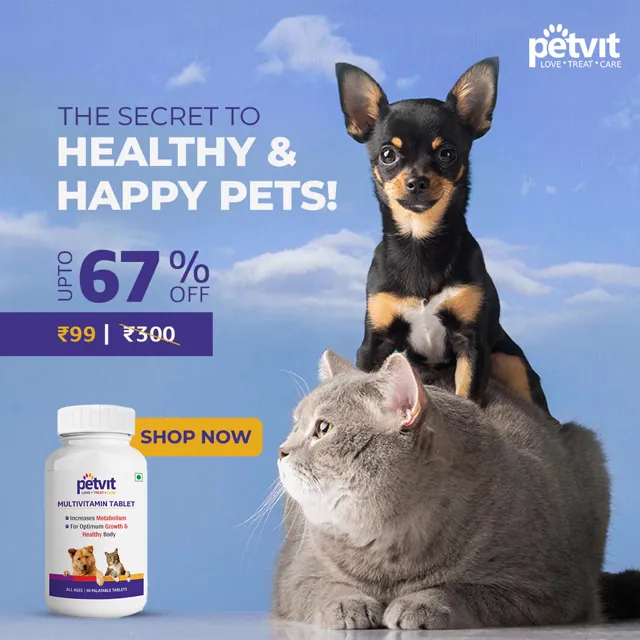Meta Ad creative by Himanshu Narwaria