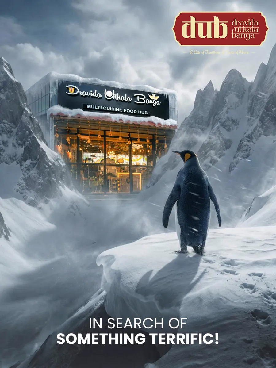 Winter campaign — the real Dravida Utkala Banga shopfront composited into a snowbound mountain pass, with a penguin looking towards it and the line In Search Of Something Terrific