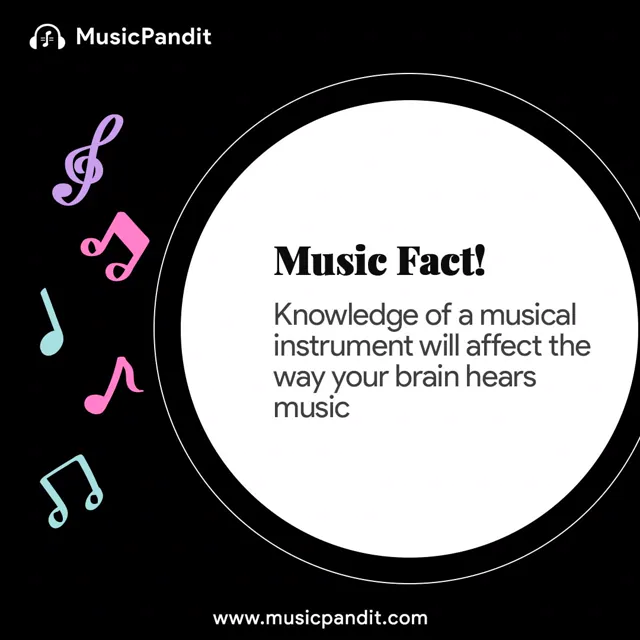 MusicPandit social media design by Himanshu Narwaria