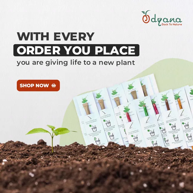 Odyana social media design by Himanshu Narwaria