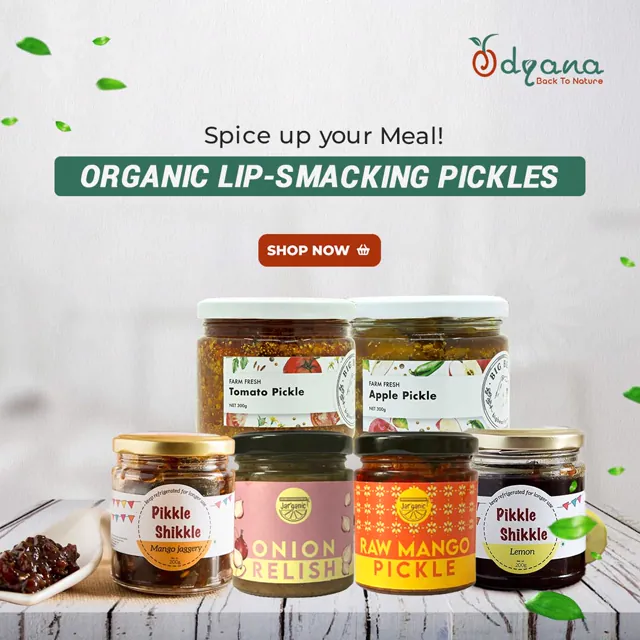 Odyana social media design by Himanshu Narwaria