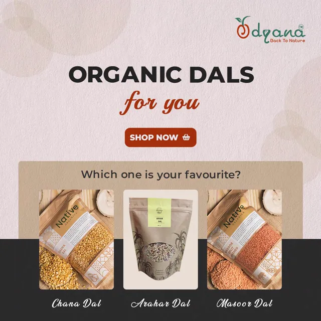 Odyana social media design by Himanshu Narwaria