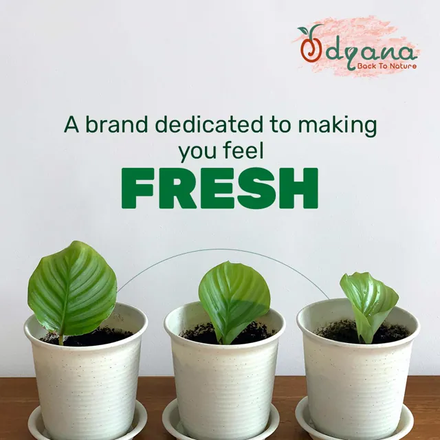 Odyana social media design by Himanshu Narwaria