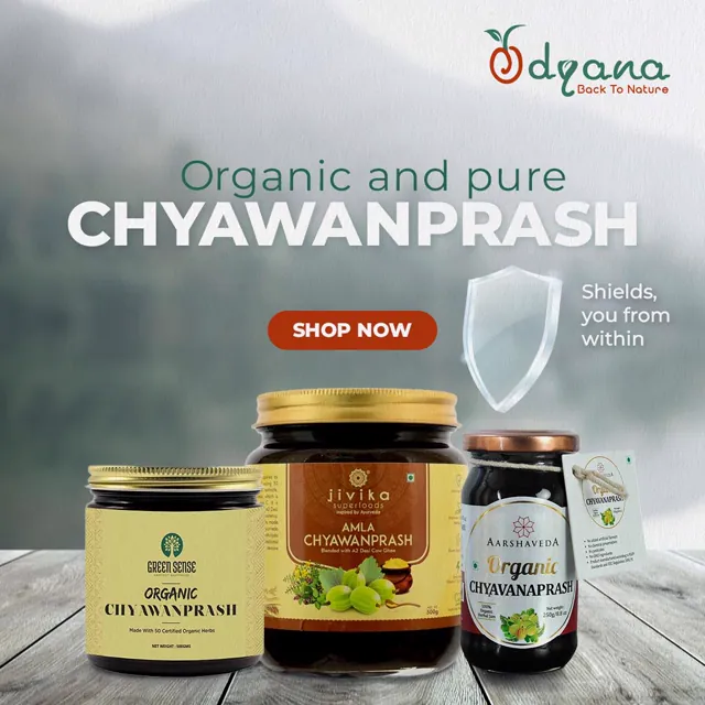 Odyana social media design by Himanshu Narwaria