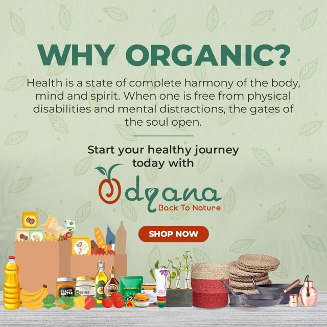 Odyana social media design by Himanshu Narwaria